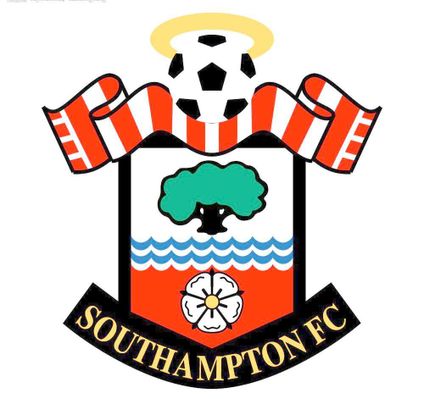 注力和快速 注力和快速