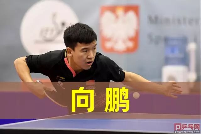 们巨大支持 们巨大支持