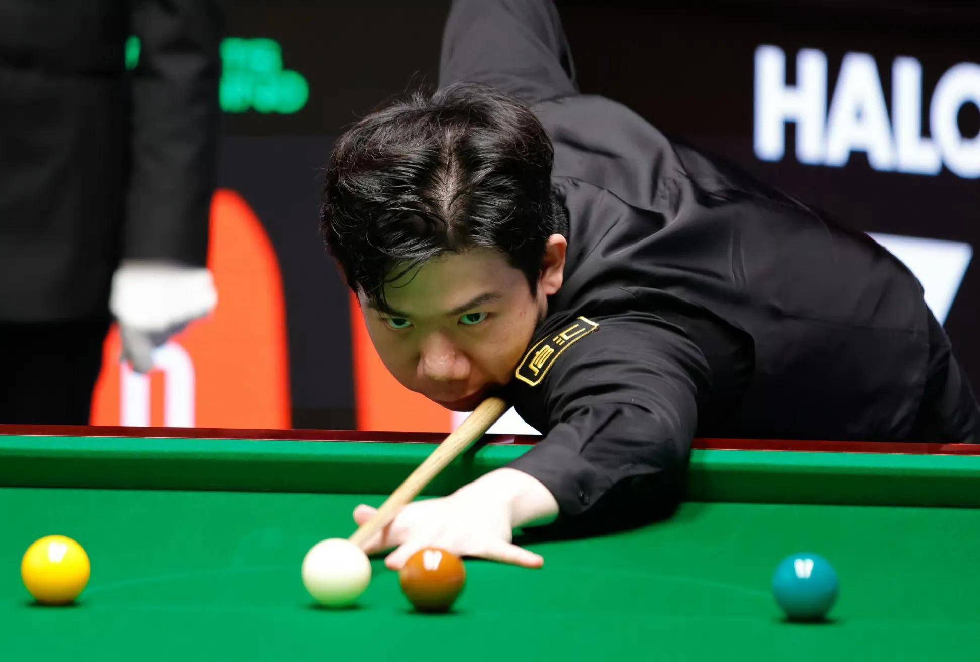 如果你需要 如果你需要